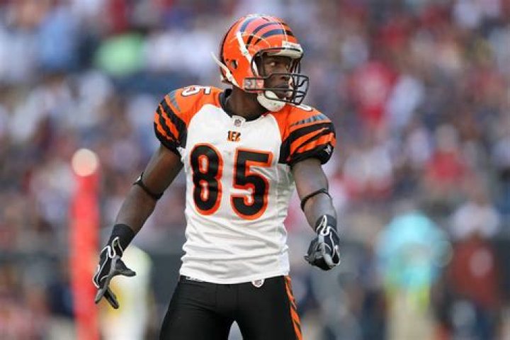 Chad Johnson 32 years