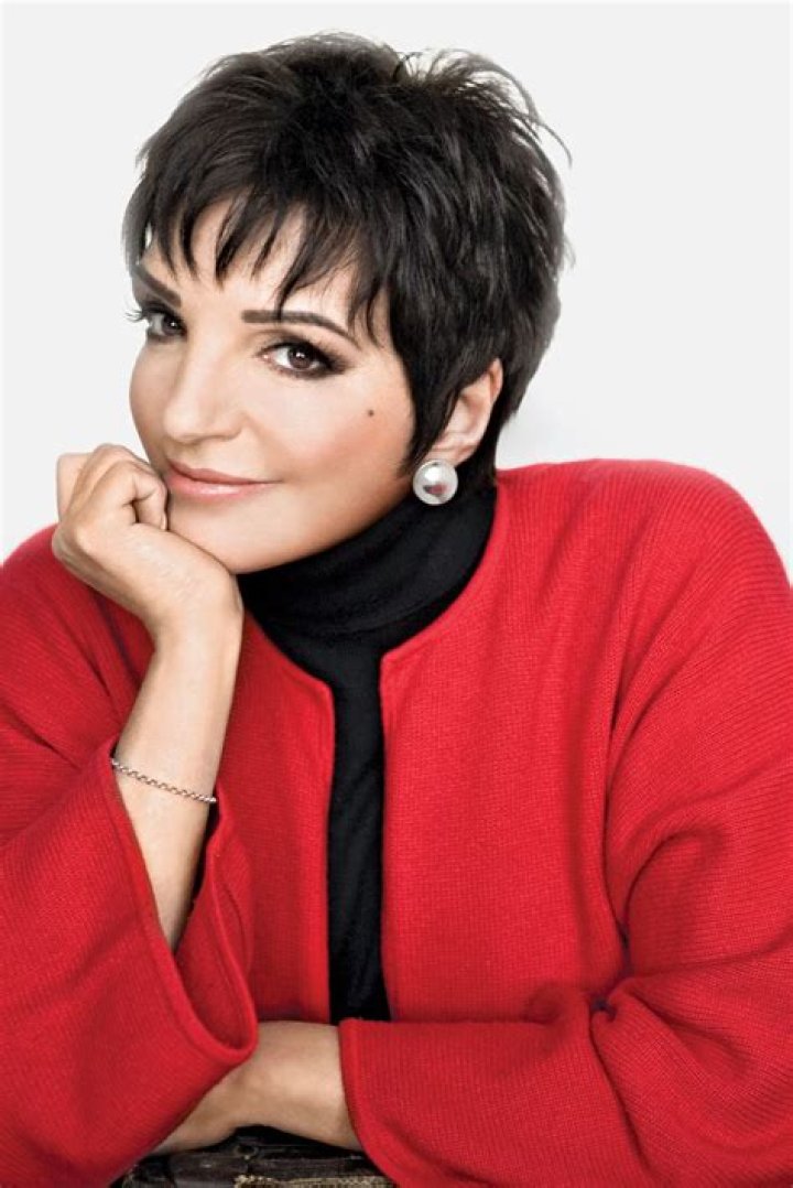 Liza Minnelli Liza Minnelli