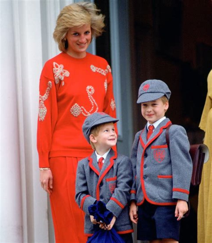 Princess Diana with Prince Harry and Prince William