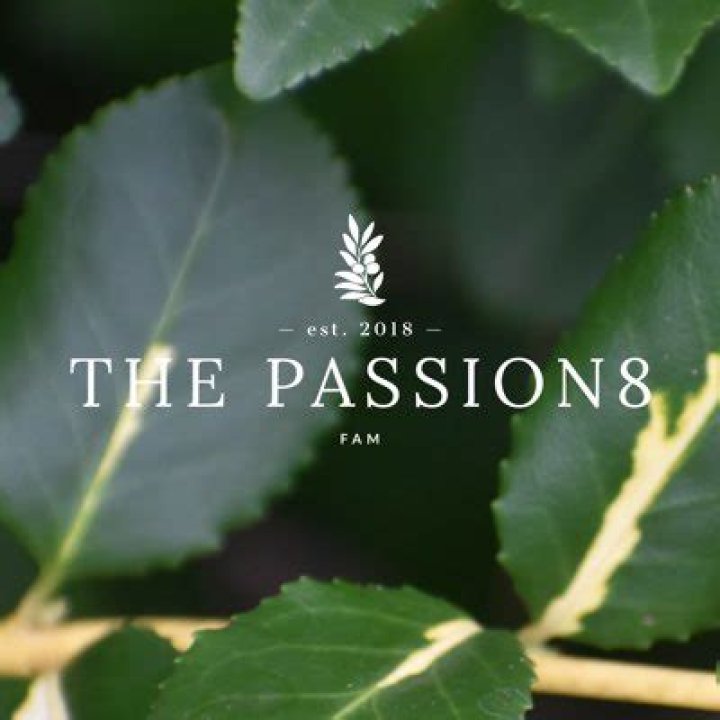 the-passion-8